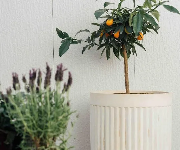 Clemonte - Your Reception-less Boutique Hideaway 5*